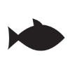 Free On site fishing